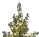 This is an up close view of the top of one of the trees.