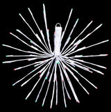 This image shows the red and green burst option on a black background.