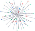 This image shows the multi-colored burst option on a white background.