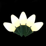 Set of 25 Classic C7 LED Lights
