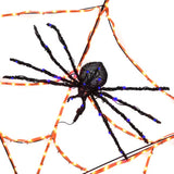 This is an up close view of one of the spiders.