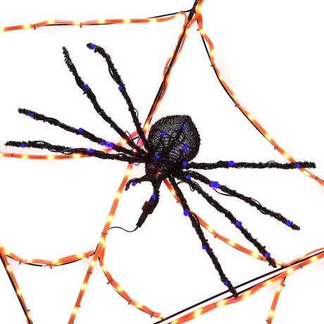 This is an up close view of one of the spiders.