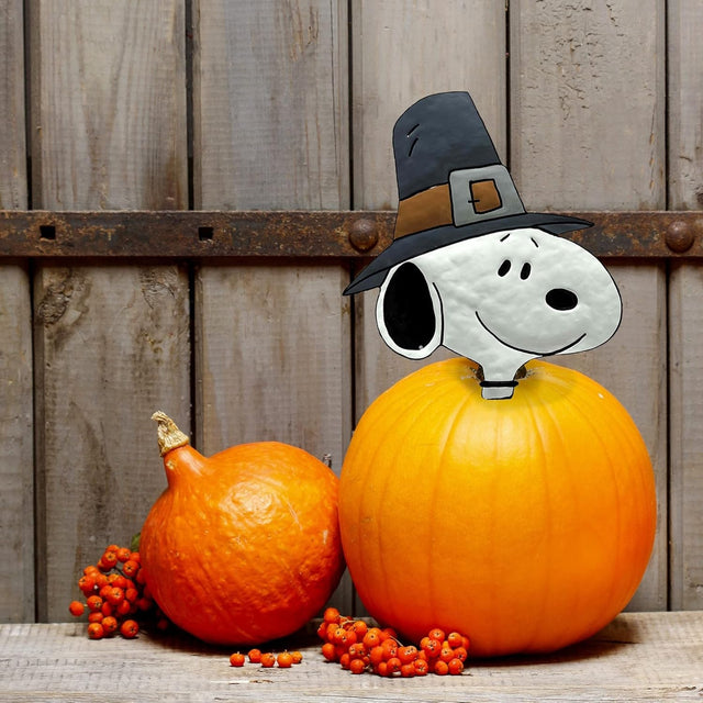 This is a pumpkin press-in decoration designed to look like Snoopy from the Peanuts cartoons. He's wearing a pilgrim hat. It's been pushed into a pumpkin next to a wooden fence.