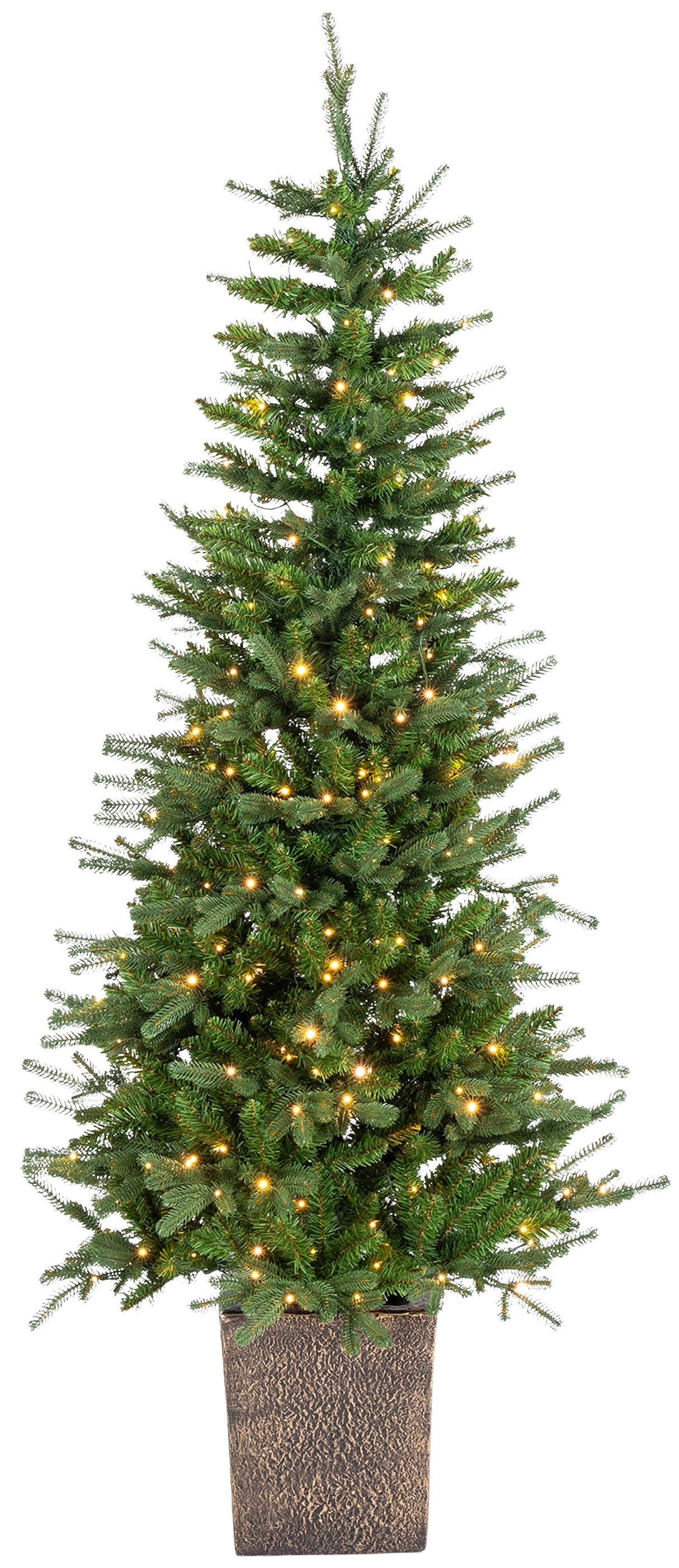This image shows a 6 ft. tree in a bronze pot with Warm White lights on. This tree is up against a white background.