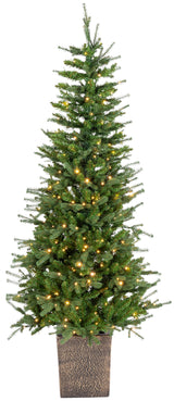 This image shows a 6 ft. tree in a bronze pot with Warm White lights on. This tree is up against a white background.