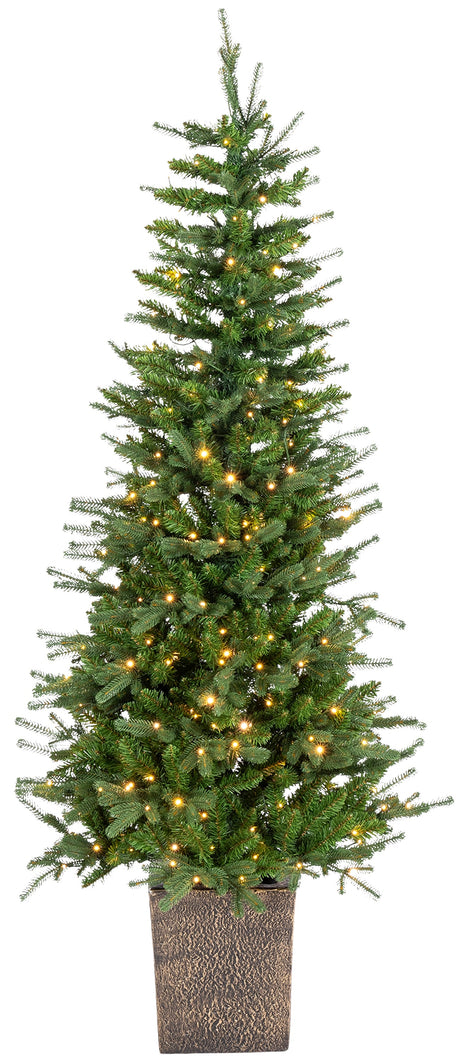 This image shows a 6 ft. tree in a bronze pot with Warm White lights on. This tree is up against a white background.