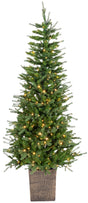 This image shows a 6 ft. tree in a bronze pot with Warm White lights on. This tree is up against a white background.