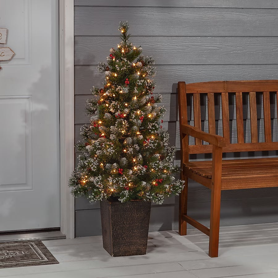 This image shows the same tree on a porch in between the front door and a bench.
