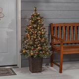 This image shows the same tree on a porch in between the front door and a bench.