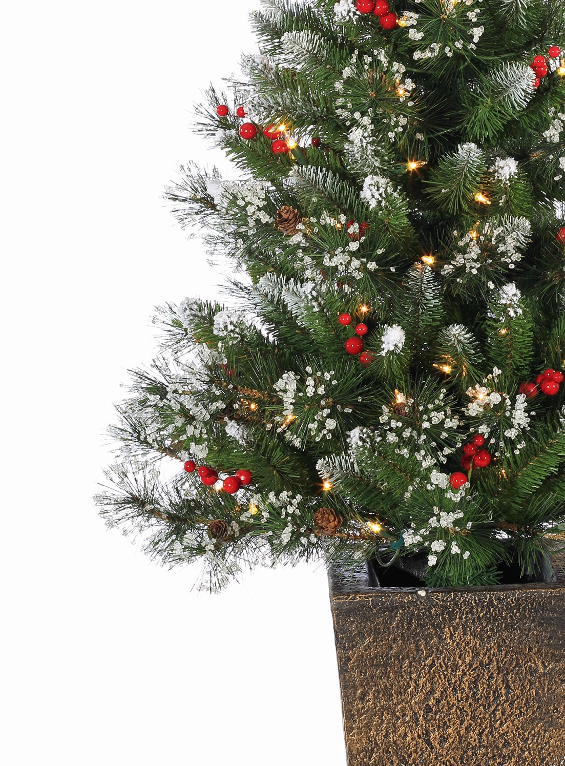 This is a close up of the side of the tree and the bronze pot.