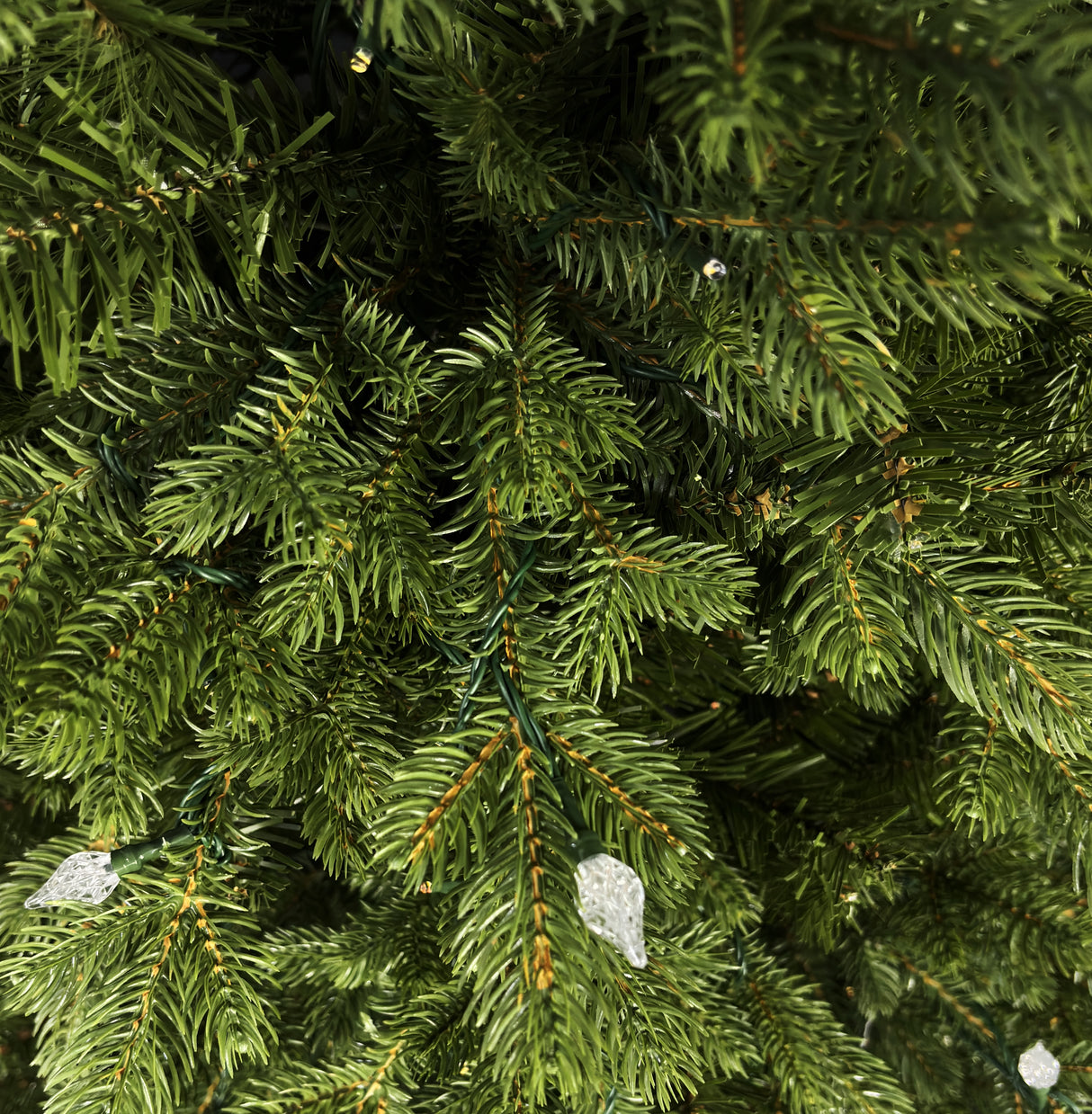 This is an up close view of the branch tips and light bulbs.