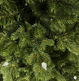 This is an up close view of the branch tips and light bulbs.