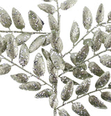 This is an up close view of the dark sage green leaves.