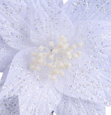 This is an up close view of the center of the poinsettia.