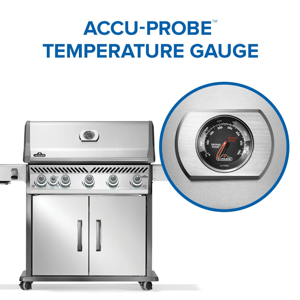 This image is showing off the Accu-Probe temperature gauge.