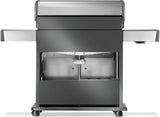 Silver and gray Napoleon grill. There is a built-in thermometer on the lid, there are two shelves outstretched, six buttons and a cabinet that opens up underneath. This is the backside.