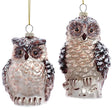 Painted glass ornament designed to look like a brown owl.