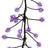 This image shows an up close view of the purple big seed cluster light string.
