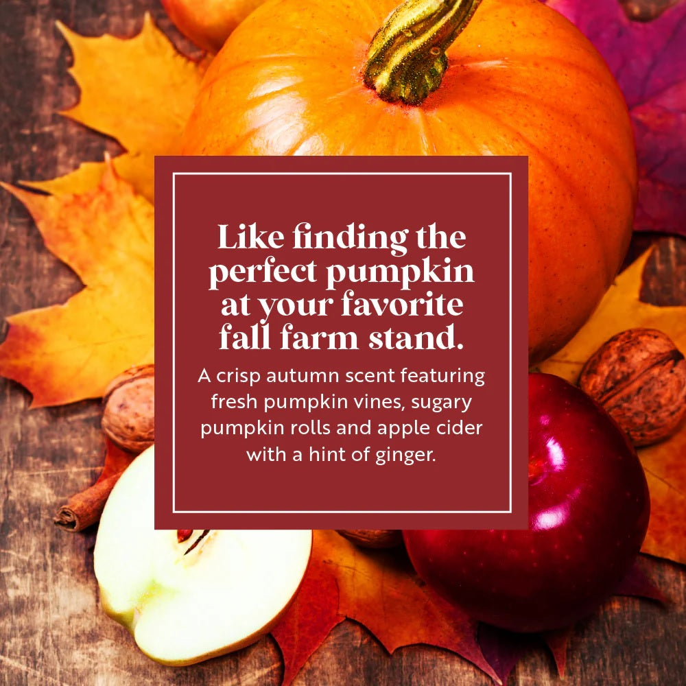 Fragrance-Infused Paper Sticks. Set of 6 scented ornaments that smell like Pumpkin and Cider.