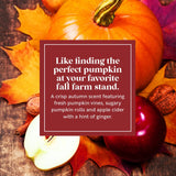 Fragrance-Infused Paper Sticks. Set of 6 scented ornaments that smell like Pumpkin and Cider.