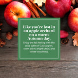 Fragrance-Infused Paper Sticks. Set of 6 scented ornaments that smell like Autumn and Apples.