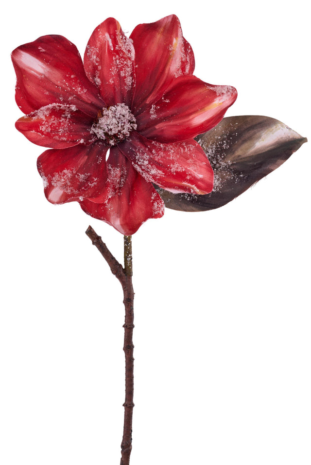 Red magnolia flower with a rust colored stem and leaf. Covered in white specks to appear covered in snow.