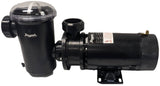 Raypak 3/4 HP Above Ground Pool Constant Speed Pump 110/115V with Twist Lock Cord
