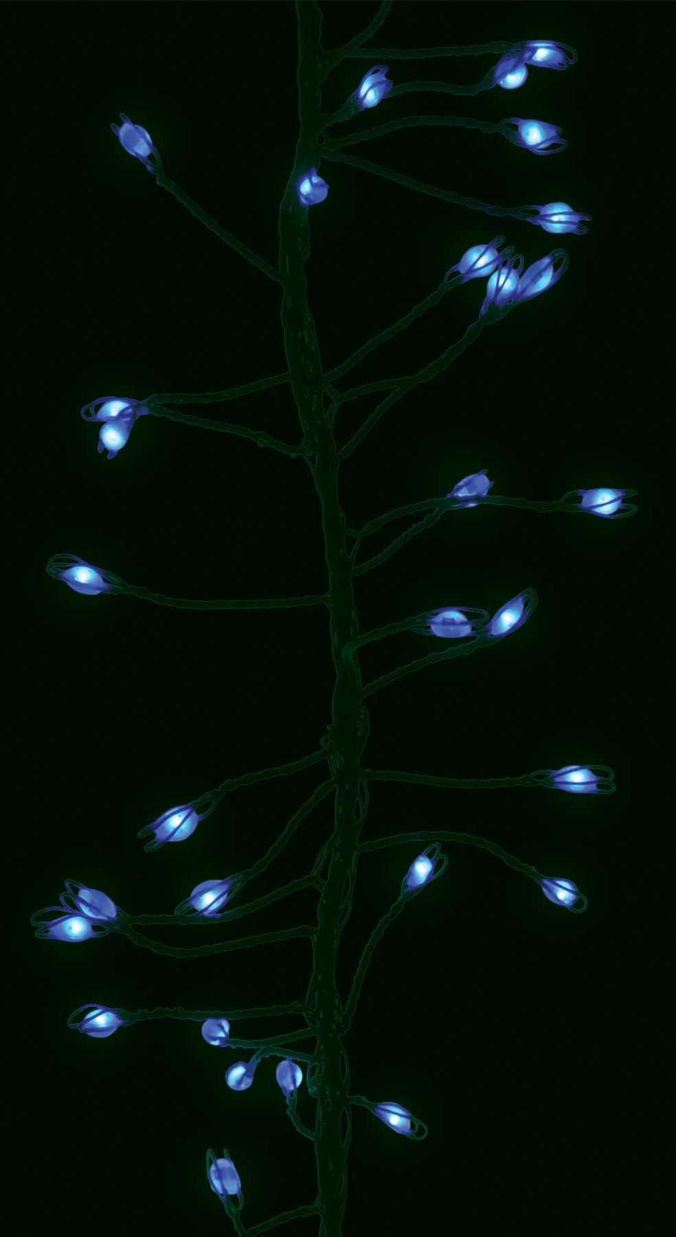 Set of 270 Big Seed LED Cluster Micro Connectable Lights