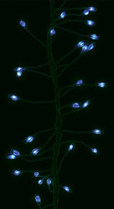 Set of 270 Big Seed LED Cluster Micro Connectable Lights