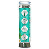 Fragrance-Infused Paper Sticks. Set of 6 scented ornaments that smell like O Christmas Tree.