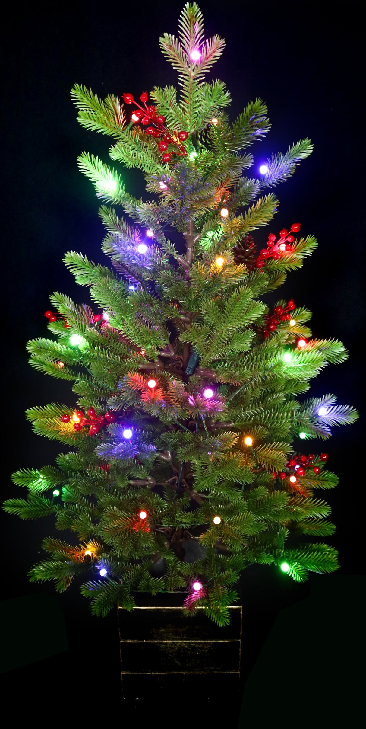 Artificial tree pre-lit with Starry lights. Tree is decorated with red berries and is in a pot.