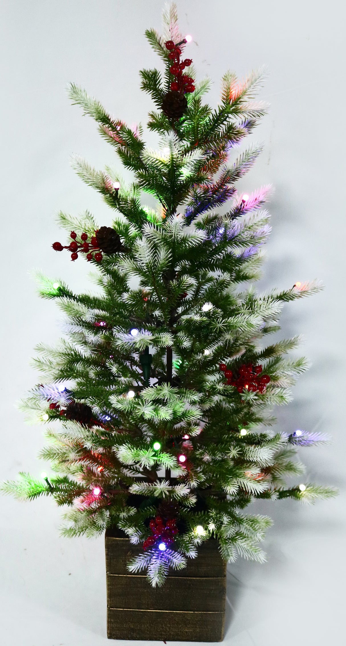 Potted artificial tree with Starry lights.