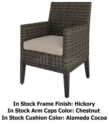 Remy Cushioned Wicker Dining Collection