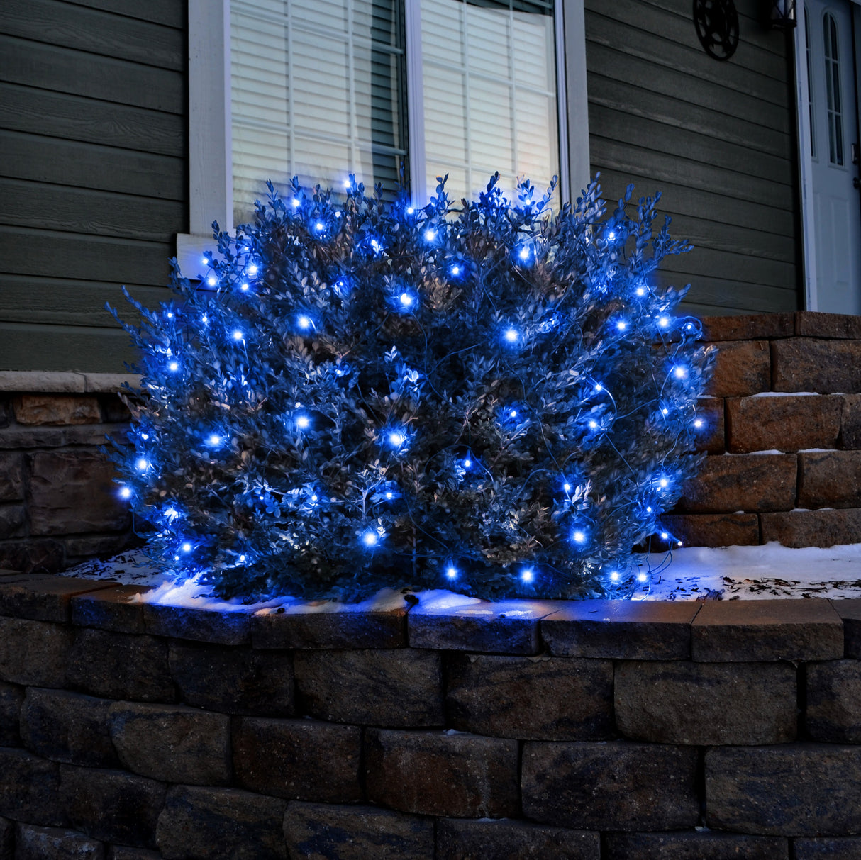 Set of 100 Professional Grade Christmas LED Net Lights