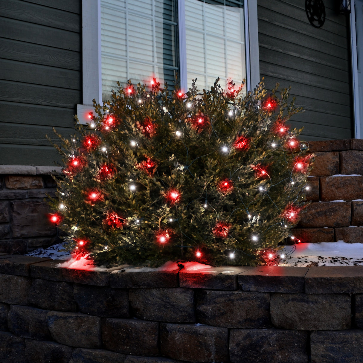 Set of 100 Professional Grade Christmas LED Net Lights
