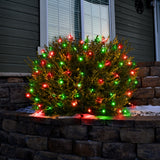 Set of 100 Professional Grade Christmas LED Net Lights