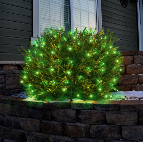 Set of 100 Professional Grade Christmas LED Net Lights