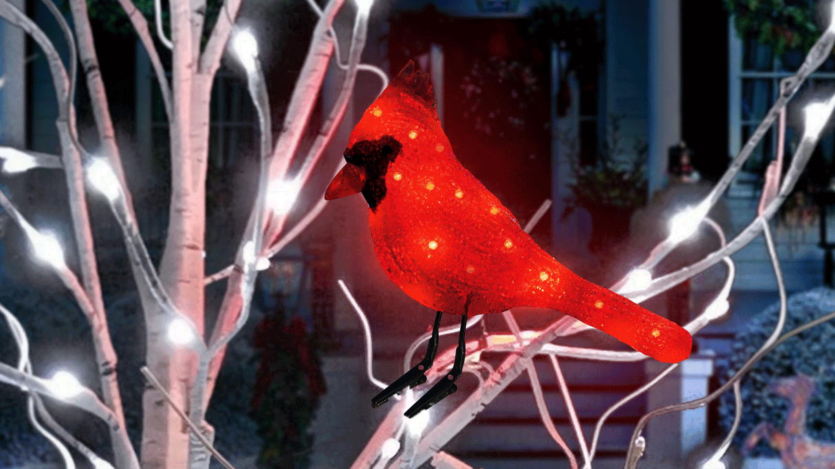 This animated image shows the way the red lights in this cardinal flicker.