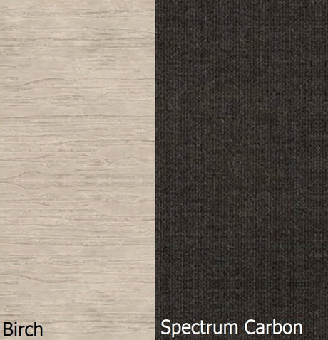 This is a swatch image showing the Birch frame and Spectrum Carbon cushion color.