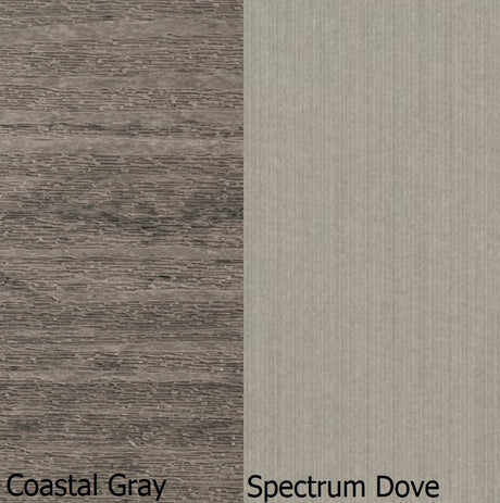 This is a swatch image showing the Coastal Gray frame and the Spectrum Dove cushion color.