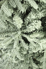 This is an up close view of the flocked branch tips.