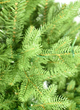This is an up close view of the tree branches and lights.