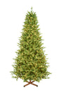 This image shows the 7.5 ft. tree pre-lit with Warm White Starry Lights. It has a wooden tree stand.