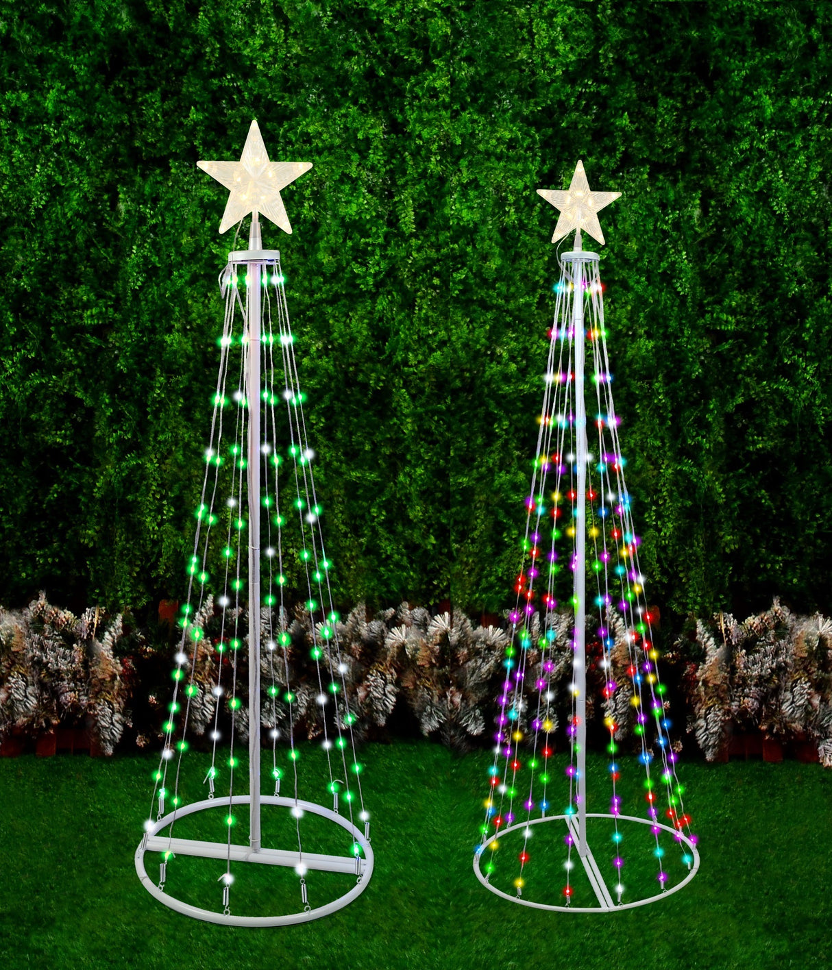 Cone tree pre-lit with LED lights. One measures 6 ft. tall and one measures 4 ft. tall.