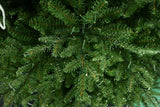 This is an up close view of the branch tips and the light bulbs.