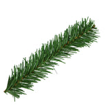 This image is an up close view of one of the tree branches.