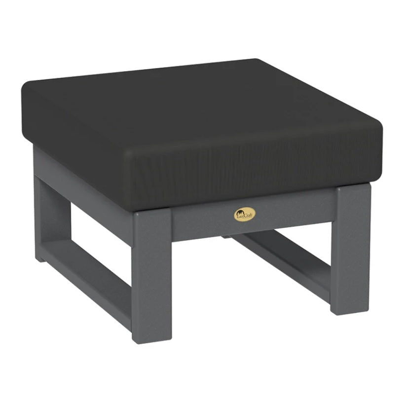 This is the Ottoman with Slate frames and a Spectrum Carbon colored cushion.