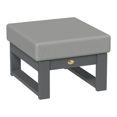 This is the Ottoman with Slate frames and a Spectrum Dove colored cushion.