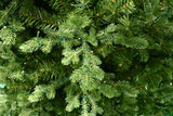 This is an up close view of the branch tips and the light bulbs.