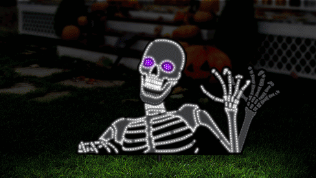 This is an animated image showing the skeleton decoration in motion. He appears to wave, his mouth opens and his eyes go from purple to black.